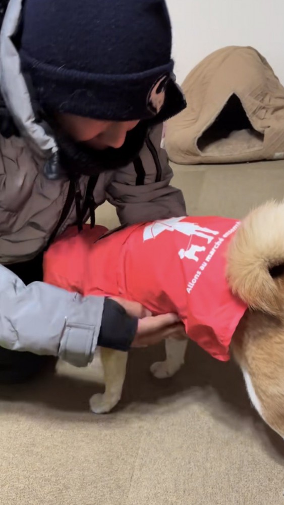 赤のカッパを着る柴犬