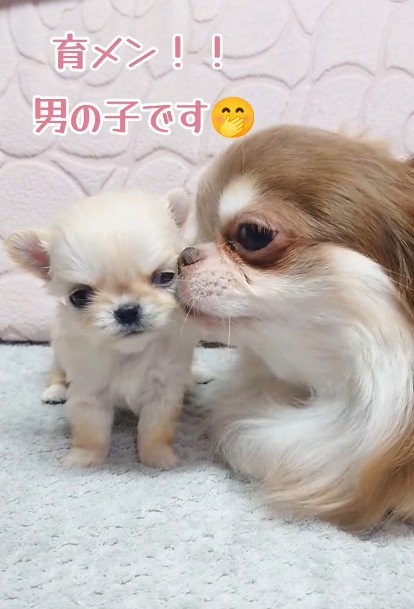 愛されながら育っています