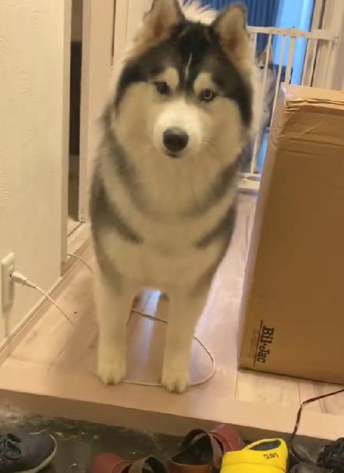 もちちゃんがいた！！