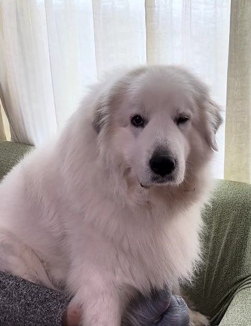 愛あふれるワンシーンでした！