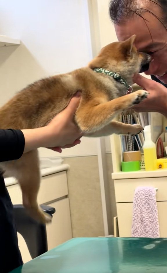 子犬に顔を寄せる先生