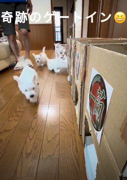 一蘭みたいな食事部屋！