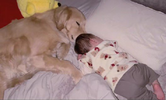 寄り添って二度寝♡