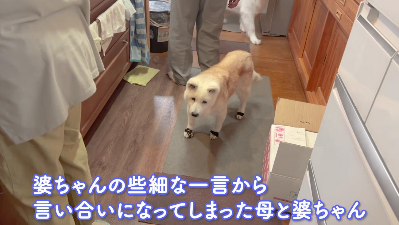 喧嘩が始まってしまった…