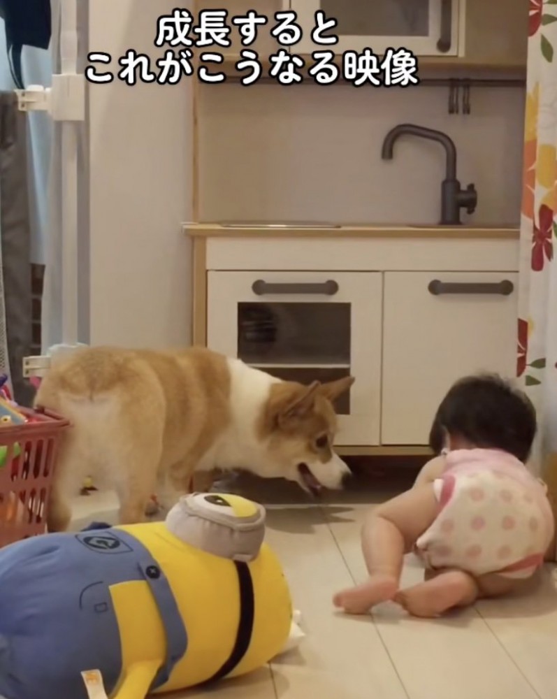ちゃちゃ「どうしよ？」