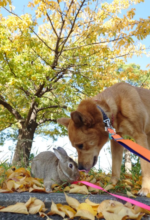心配性の風太くん