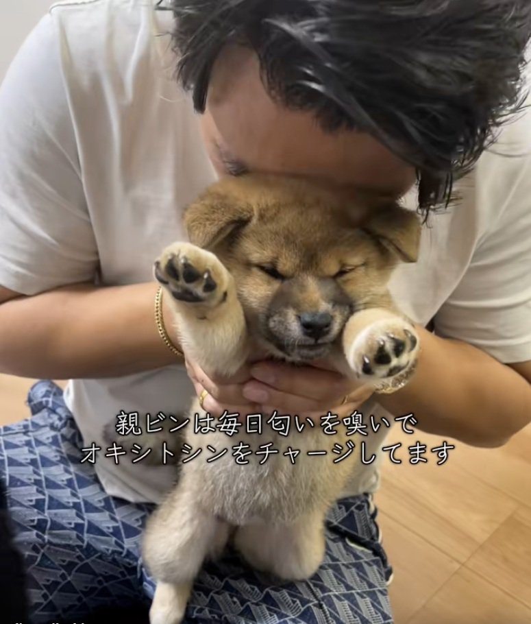 犬吸いするパパ