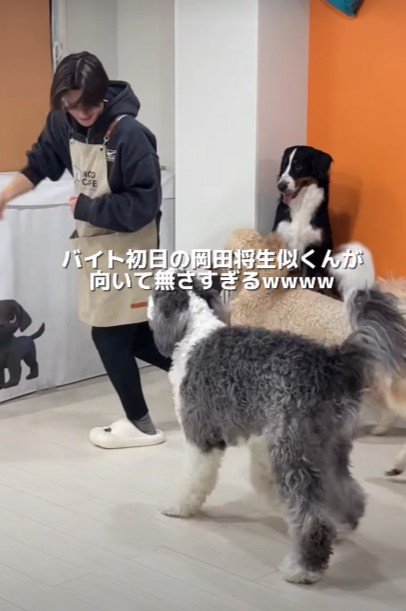 またまた追いかけられた