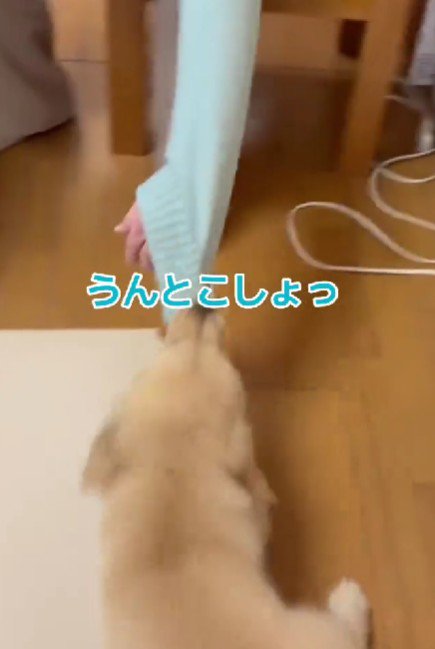 「うんとこしょ、どっこいしょ」