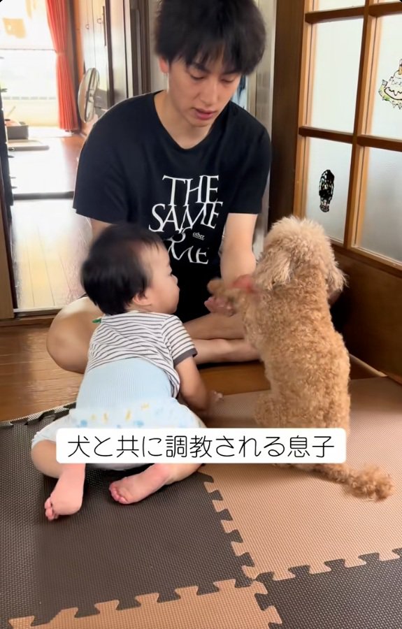 お手をするムーちゃん