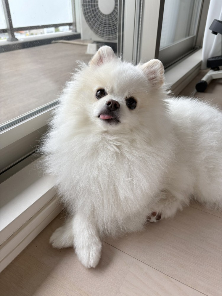 あざと可愛い