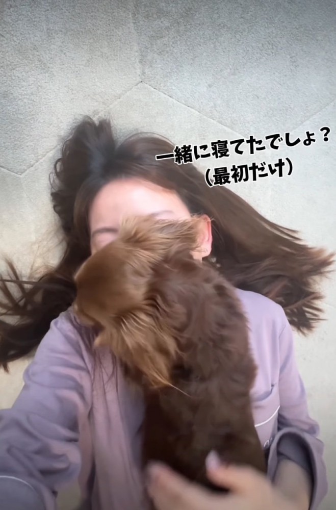 背中を撫でてもらう犬