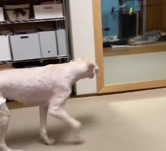 「やっぱり私だったよね…？」