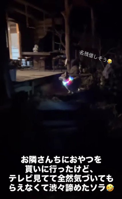 「いや、いけるか…？」