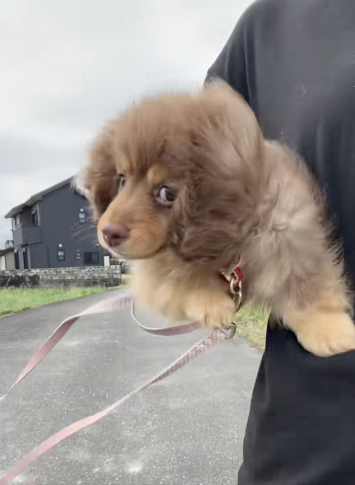 手足をバタバタ！