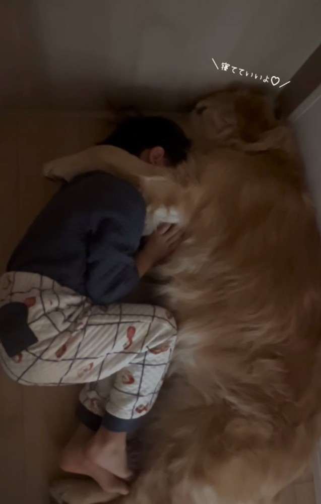 男の子を舐める大型犬