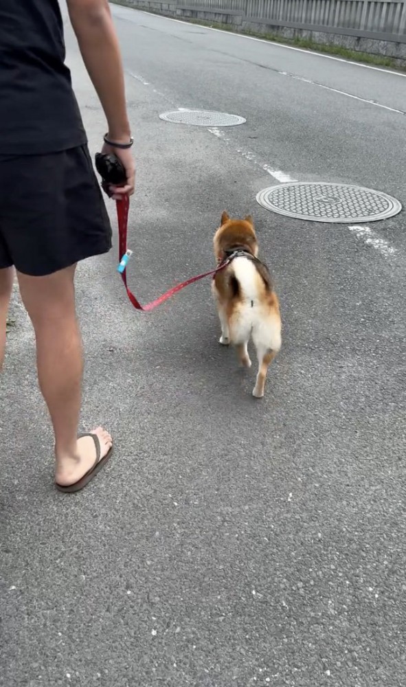 ママの期待、砕け散る…！