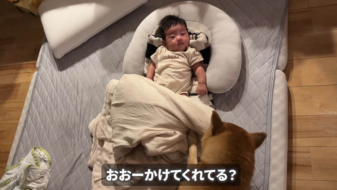 「風邪引いちゃうよ」