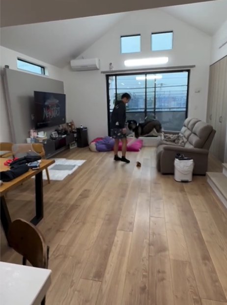 ジャンプする犬1