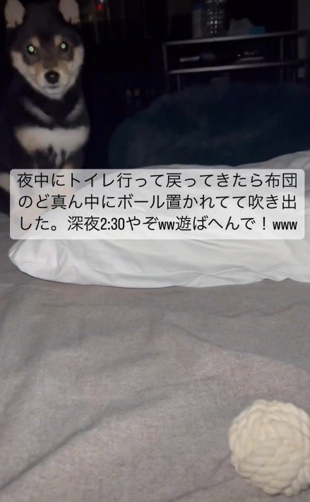 ボールがポツンと置かれていた