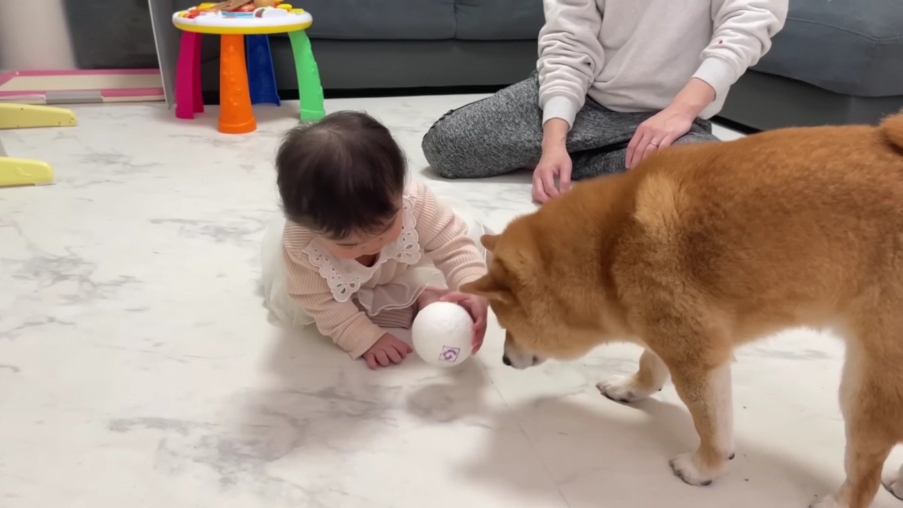 ほのちゃんとうにくん