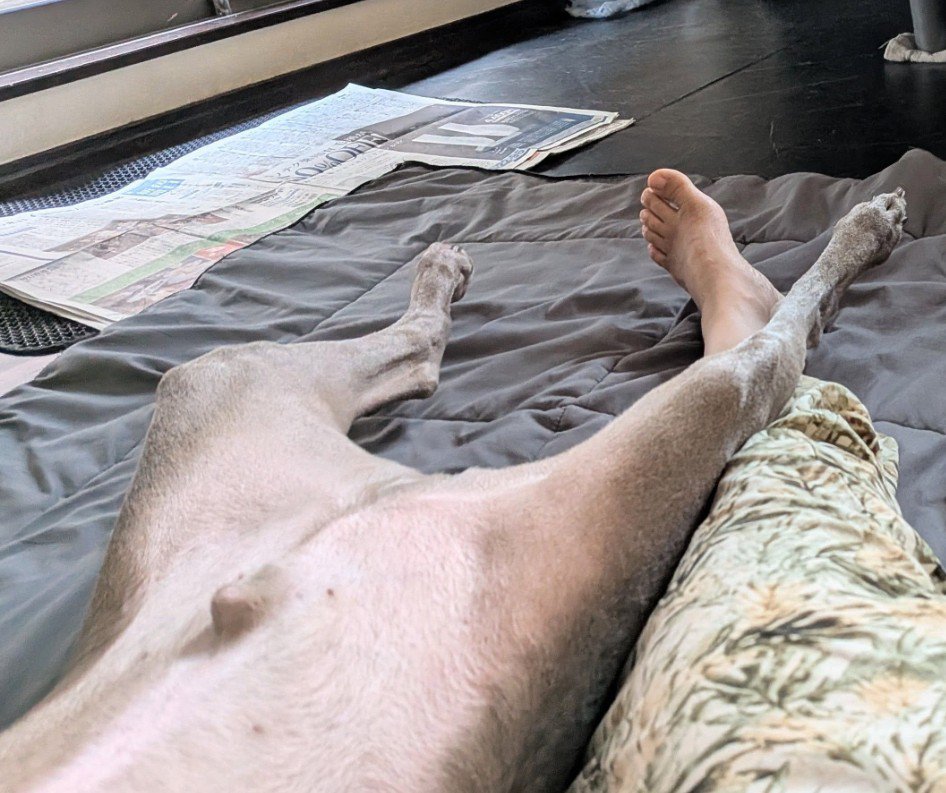 愛犬の足が乗ってた！