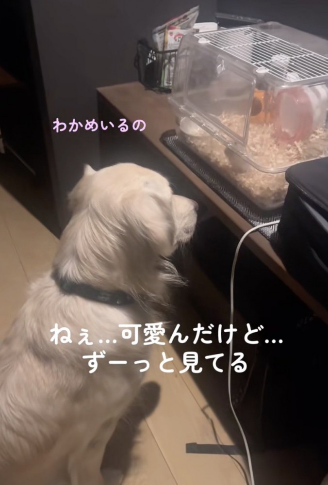 「こんにちは〜」