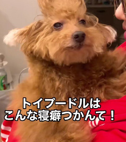 朝、起きてみたら…