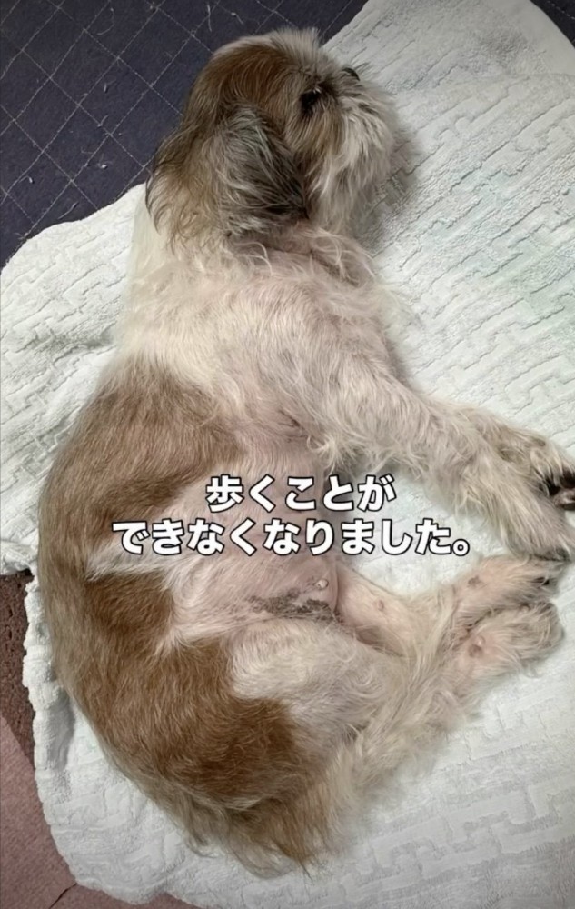 寝たきりの状態に…