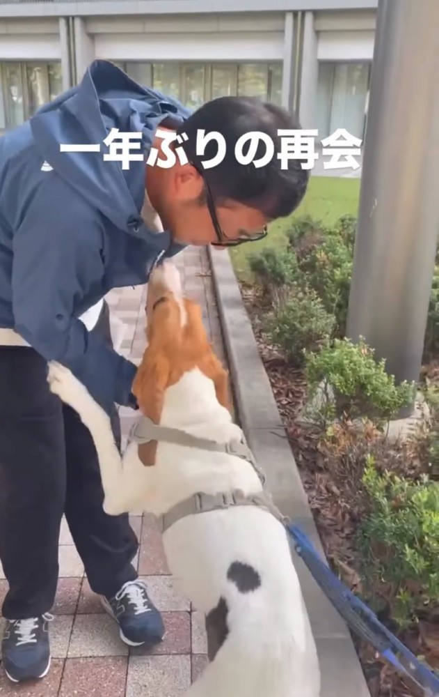 喜びを爆発させる犬