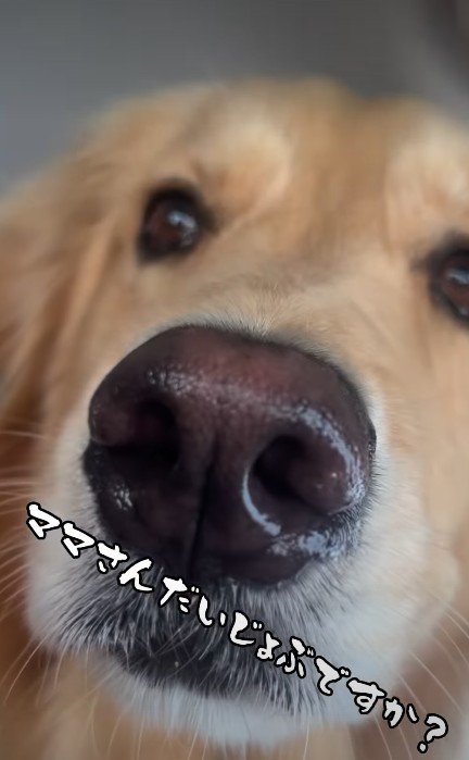 「大丈夫？」