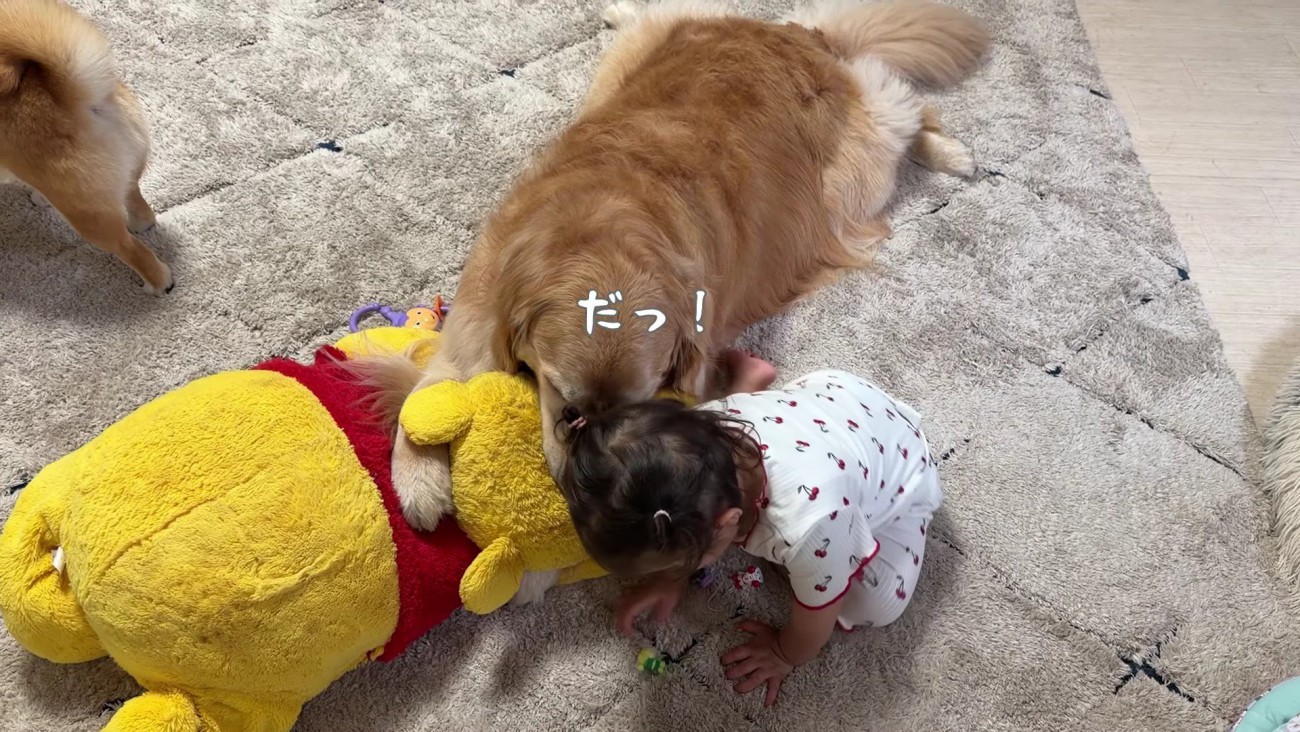 おもちゃで遊ぶほのちゃん