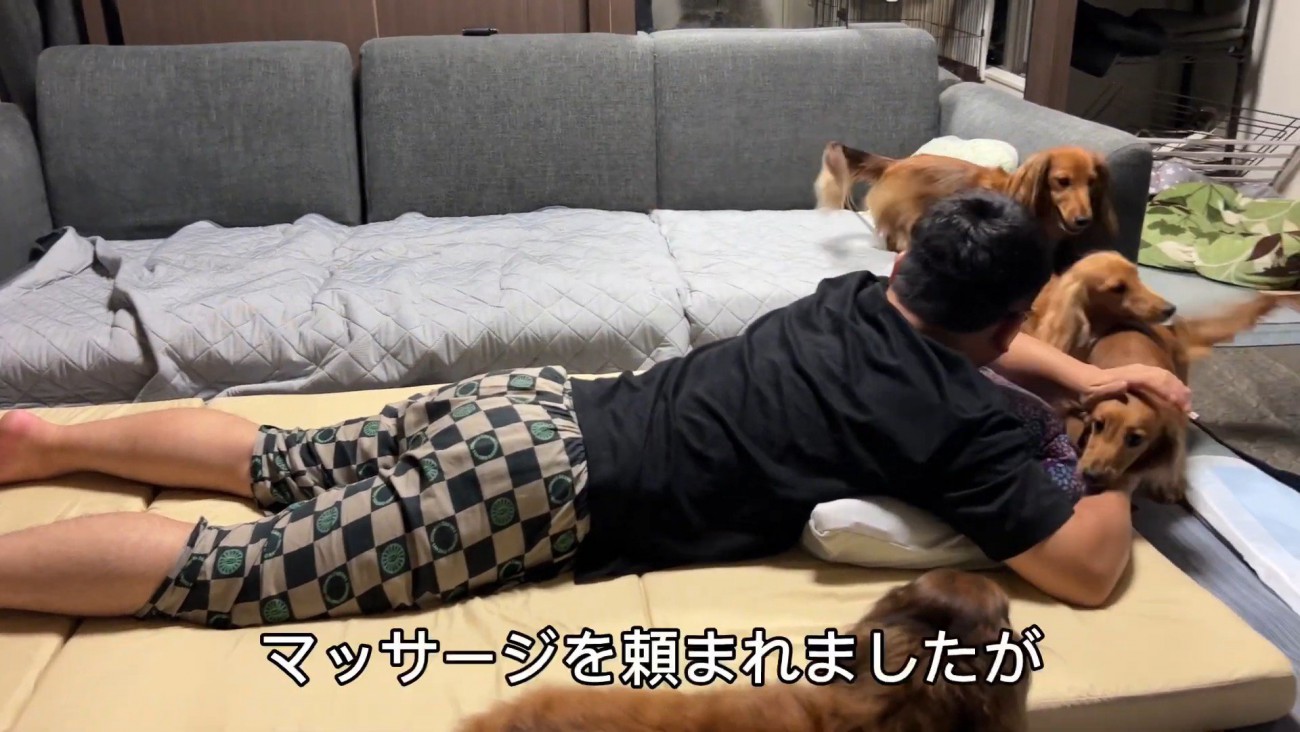 ダックスたちが集まってきました