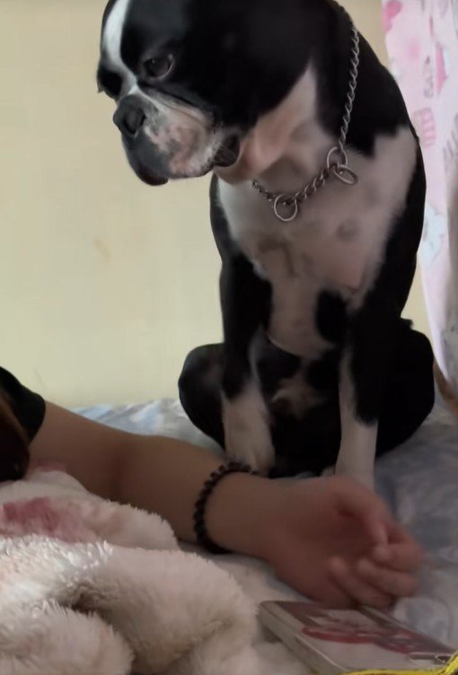 しっかりお話を聞いています