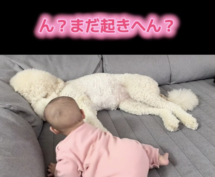 そろそろ起きてくれるかな？
