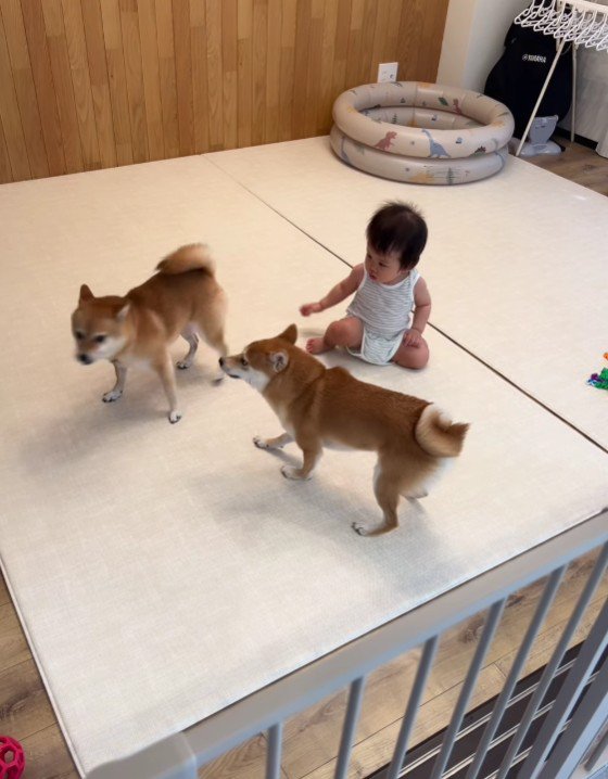 「2人とも、やめなよ…」