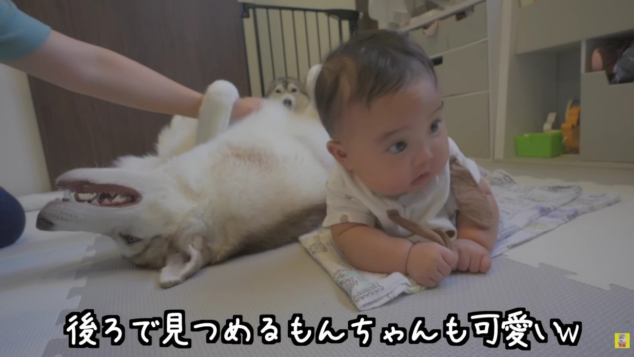 床運動を2匹で見守り