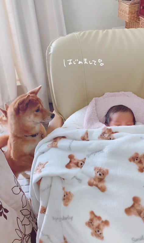 赤ちゃんが来た日のうにちゃん＆きぬ君3