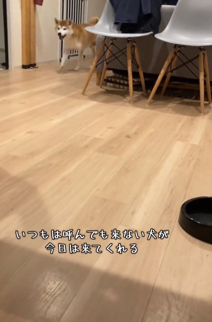 呼ばれた甚八くん