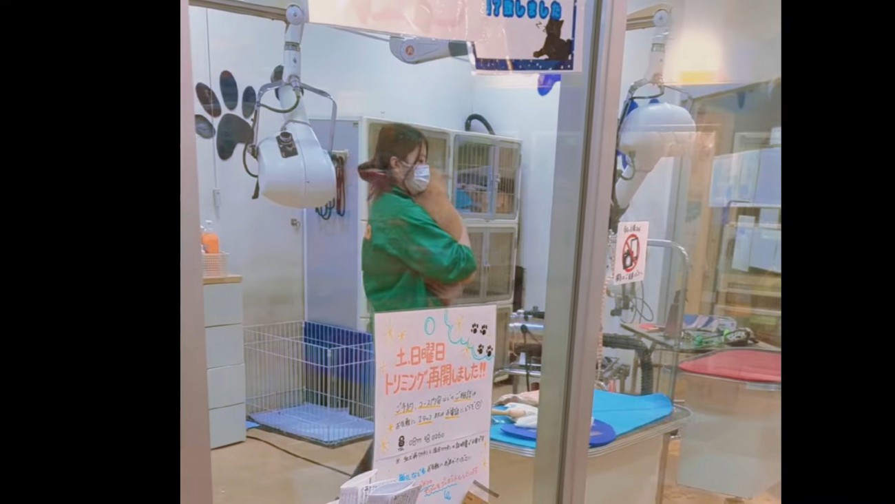 無抵抗で連れて行かれました