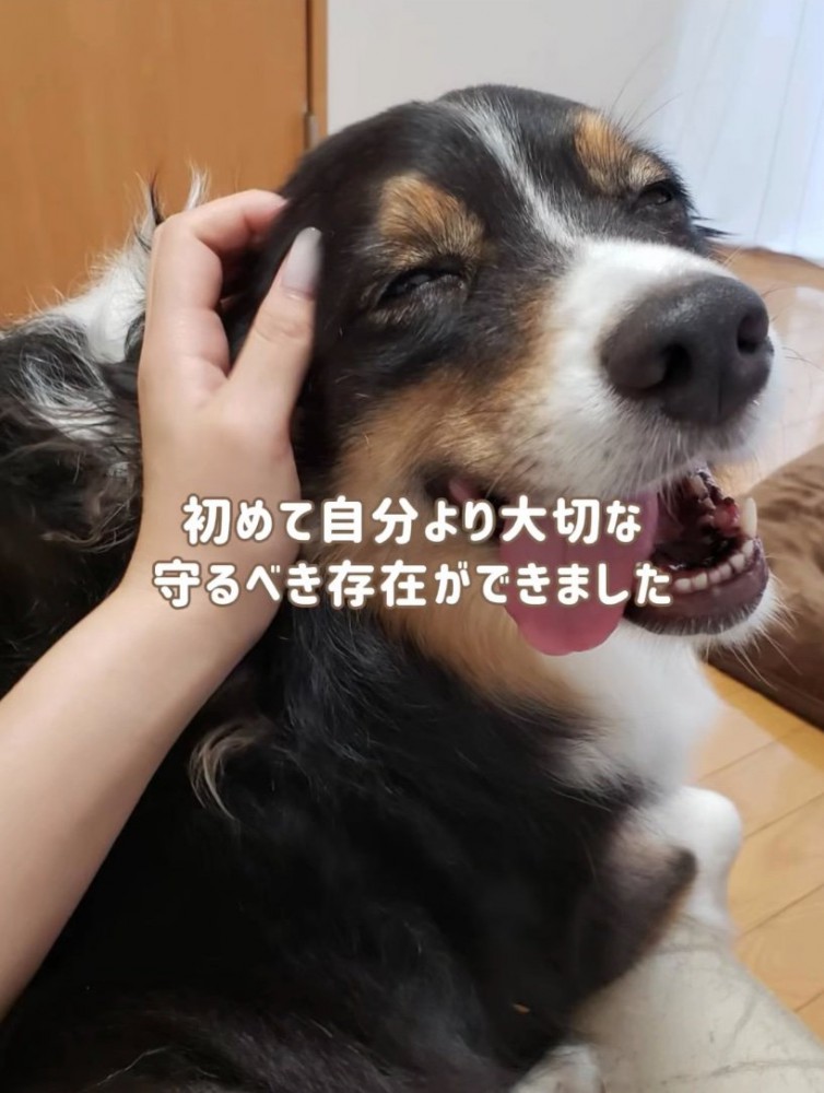 笑う犬