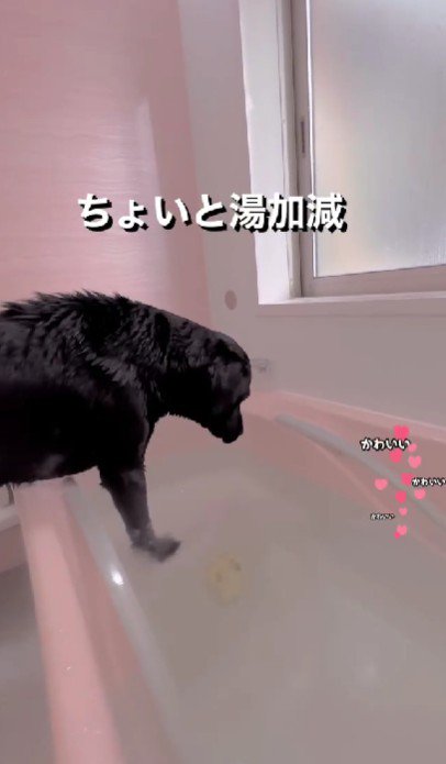 ちょうどいい♪