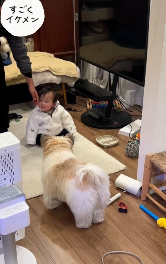 ぽんちゃんを触ろうとする友達