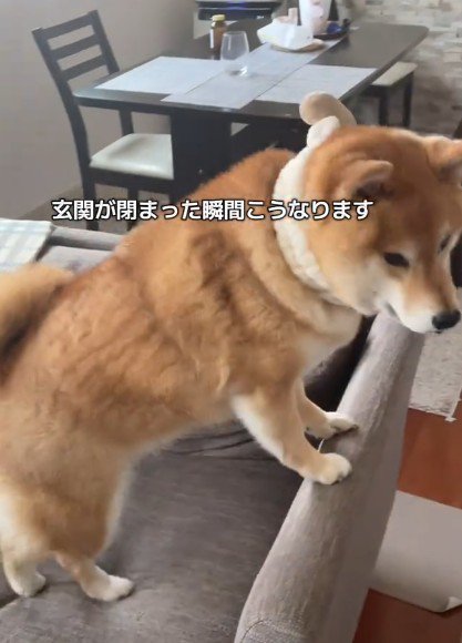 ソファにスタンバイ！