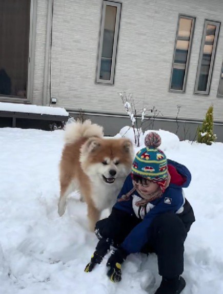 走り回ったり…