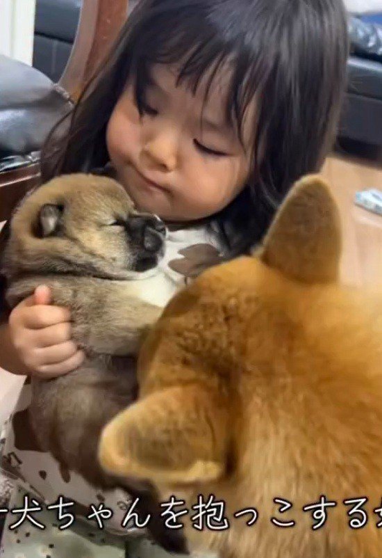 子犬を抱っこする娘さん