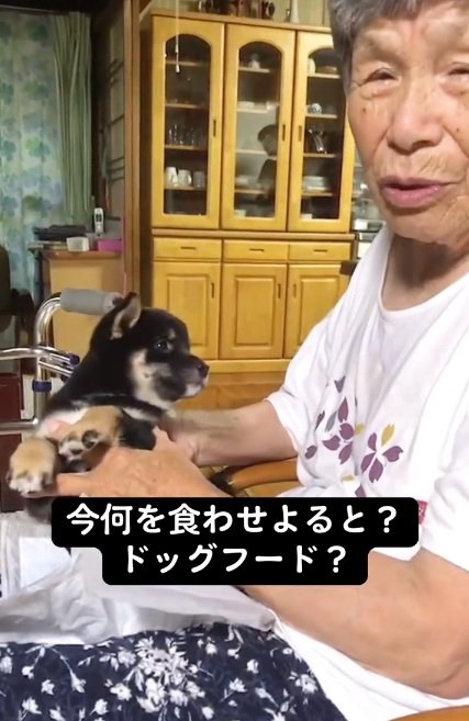 宮崎弁のおばあちゃん