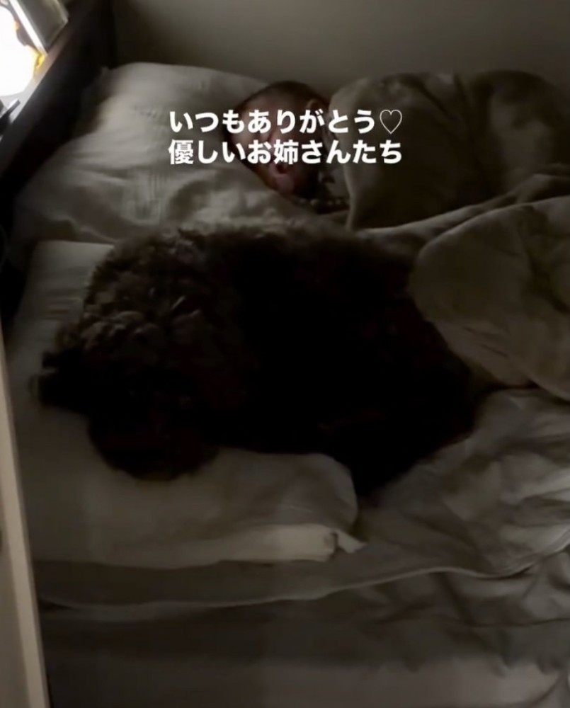 ママは2匹への感謝でいっぱい