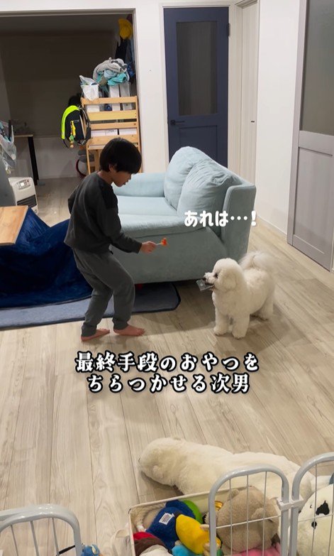 まる君VS男の子9