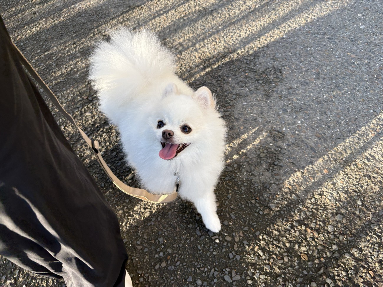 散歩